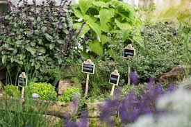 Wetterfeste Pflanzenschilder Fur Den Garten Pflanzen Garten Pflanzen Und Pflanzenschilder