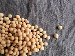 The soybeans are cracked open, heated up and the oil is. Does Soy Cause Hair Loss Hairguard