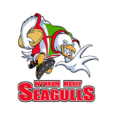 We acknowledge that ads are annoying so that's why we try to keep our page clean of them. Wynnum Manly Seagulls Posts Facebook