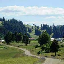 Maybe you would like to learn more about one of these? Vezirkopru Kunduz Yaylasi Photos Facebook