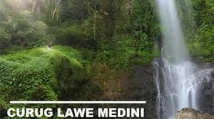 Di kebun teh ini nanti ada ada yg ngecamp di pertigaan puncak. Slamet Riyadi 20 Menit Treking Curug Lawe Medini Holiday Runner