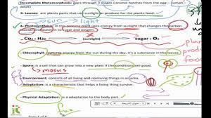 Cbse worksheets for class 4 science: Grade 4 Science Worksheet Unit Youtube