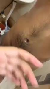 Oasi das new blowjob xxx mobile porno videos movies mp4 - ExPornToons