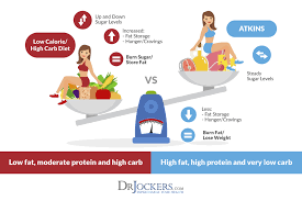 Ketogenic Diet Vs Atkins Diet Which Is Better Drjockers Com