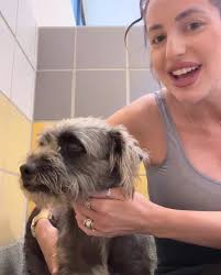 Katelyn here from sister station 93Q Houston to introduce you to Lefou.  It's his second time at Houston SPCA. This sweet & playful guy deserves a  #fureverhome. 💕