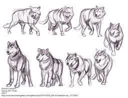 Wolf Motion Study By Mell0w M1nded Wolf Poses Wolf Sketch Animal Sketches