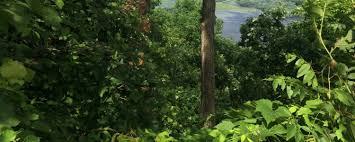 Great river bluffs state park is a state park of minnesota, united states, on the mississippi river southeast of winona. Best Camping In And Near Great River Bluffs State Park