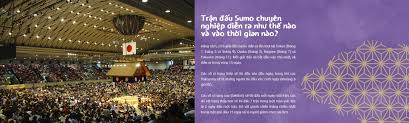 Image result for trận đấu sumo chhuye6n nghiệp diễn ra như thế nào