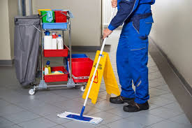 | meaning, pronunciation, translations and examples. How Important Are Janitors Janitorial Staff To Our Daily Lives