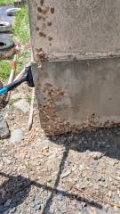 十勝毎日新聞 - News update