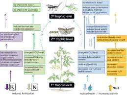Experts agree that some added sugar in the diet is usually fine. Bottom Up Effects Of Irrigation Fertilization And Plant Resistance On Tuta Absoluta Implications For Integrated Pest Management Springerlink