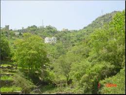 صور من عروس الجنوب جازان جبال فيفا الساحرة هوامير البورصة السعودية country roads western coast mountain range