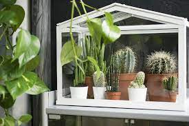 socker kweekkas binnen buiten wit ikea serre diy kassen kamerplant decor