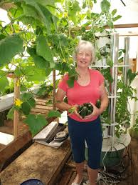 If you're short on garden space, growing zucchini vertically is a smart alternative. Flowering Plants Must Be Polinted To Produce If Inside You Will Need To Do The Bees Work For Them Backyard Tower Garden