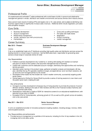 Sales Cv Business Development Page 1 Sales Jobs Relationship Management Sales Skills