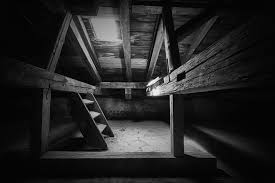 Brown bats are protected by law in most states, so anyone suspecting an infestation should contact animal control or wildlife services for assistance. Attic Pest Removal Strategies Identifying Noises Contol Tips Prices