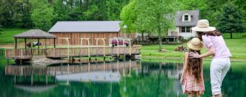 We did not find results for: Hocking Hills Deluxe Lakeside Cabin Southeast Ohio Lodging