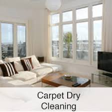 Maybe you would like to learn more about one of these? Carpet Cleaner Largo Fl Carpet Cleaning Clearwater Fl Doll Bros Carpet Dry Cleaning