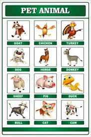 Pets Animals Stock Images Royalty Free Pet Animal Chart