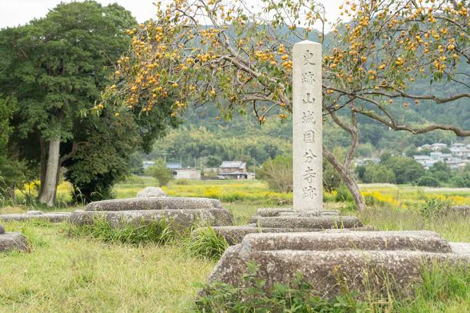 史跡 恭仁宮跡（山城国分寺跡）が特別史跡に！京都府では約６９年ぶりの指定【木津川市】 - ALCO 宇治・城陽 山城地域の情報サイト
