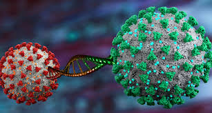 Getrübt werden könnte das zurück zur normalität aber von virus. Erstmals Coronavariante Aus Brasilien In Deutschland Nachgewiesen