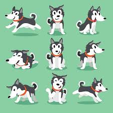 Cartoon Character Siberian Husky Dog Poses Vector Art Illustration Siberianhusky Husky Dogs Cartoon Dog Siberian Husky Dog