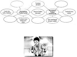 Berlaku perubahan dalam merangsang reaksi fizikal dan mental dengan cepat (morgan & goldston, 1987). 20 Ide Gambar Perubahan Fizikal Remaja Perempuan Lets Do Some Baking