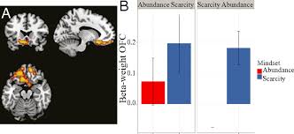 A Scarcity Mindset Alters Neural Processing Underlying Consumer Decision Making Pnas