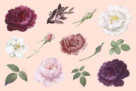 Baixe Desenhos De Flores Vintage Gratuitamente Flower Drawing How To Draw Hands Vintage Flowers