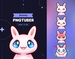Bunny Pngtuber Model Stream Mascot 5 Expressions & 14 Files - Etsy Finland