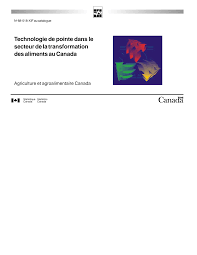 Https Www150 Statcan Gc Ca N1 Pub 88 518 X 88 518 X1999001 Fra Pdf
