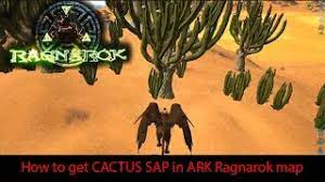 Other information includes its blueprint, class name (primalitemconsumable_cactussap_c) and quick information for you to use. Ark Ragnarok How To Get Cactus Sap Old Video Now Map Updated Youtube