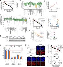 Expected secure messaging (sm) object missing. The Chemotherapeutic Cx 5461 Primarily Targets Top2b And Exhibits Selective Activity In High Risk Neuroblastoma Biorxiv