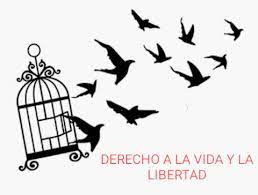 Se trata particularmente de la libertad de asociación, de reunión pacífica, la libertad sindical y el derecho a la manifestación. Derecho A La Vida Y La Libertad Videos Facebook