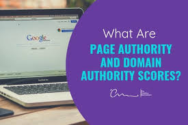 What Are Page Authority And Domain Authority Scores