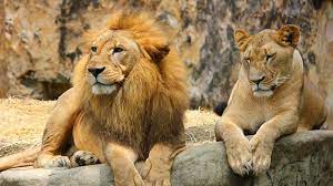 حديقة الحيوانات في انطاليا | تعرف على حديقة حيوانات مدينة انطاليا واقضي فيها امتع الاوقات