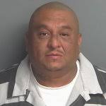 VITALE, CAROLYN GRETA