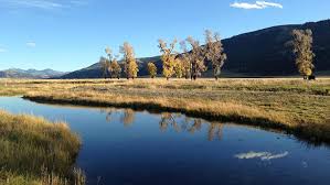 The Magic of the Wild" Yellowstone National Park (TV Episode 2013)