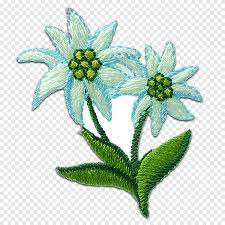 Hamparan bunga berwarna putih berpadu sempurna dengan panorama hutan cemara sungguh memanjakan mata. Bunga Edelweiss Patch Bordiran Bordir Hijau Bunga Menjahit Bunga Png Pngegg