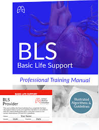 Bls Algorithms 2019 Basic Life Support