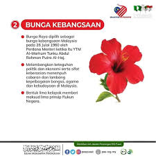 Jom Kita Kenali Lambang Atau Identiti Dewan Muslimat Pas Subang Facebook