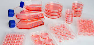 Check spelling or type a new query. Cell Culture Market Grow At 7 1 Global Size Segments Overview Competitive Share Analysis New Technology Upcoming Developments And Business Outlook To 2024 Medgadget