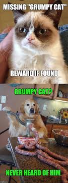 Sausage Dog Memes & GIFs - Imgflip