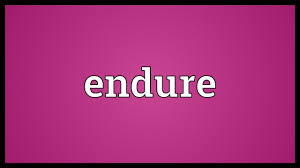نتیجه جستجوی لغت [endured] در گوگل
