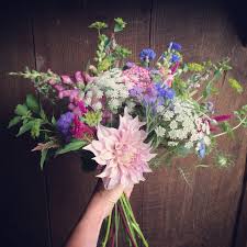 White aster is a variety of white flowers from our wholesale flowers collection that is excellent for aster wedding bouquet, aster bouquet wedding, christmas flowers, wedding flowers, wedding centerpiece ideas, wedding bouquets, anniversary flowers, happy birthday flowers, and more. Why Local Aster B Flowers