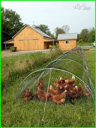 Kandang Ayam Bangkok Yang Sederhana Tetap Kreatif Dan Modern Kandang Ayam Peternakan Unggas Kebun Sayur