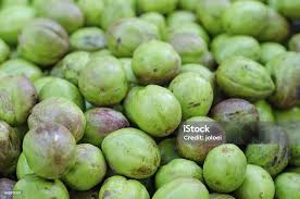 Image result for Terminalia bellirica