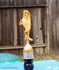 Science Experiment Diet Coke And Mentos Geyser Science Experiments Science Experiments Kids Mentos Coke Experiment