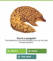 You will come across trivia questions focusing over when is earth day. Google Earth Day Logo Takes You To The Earth Day Animal Quiz