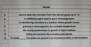 We did not find results for: Crossword Puzzle Fill In The Terms In The Correct Chegg Com